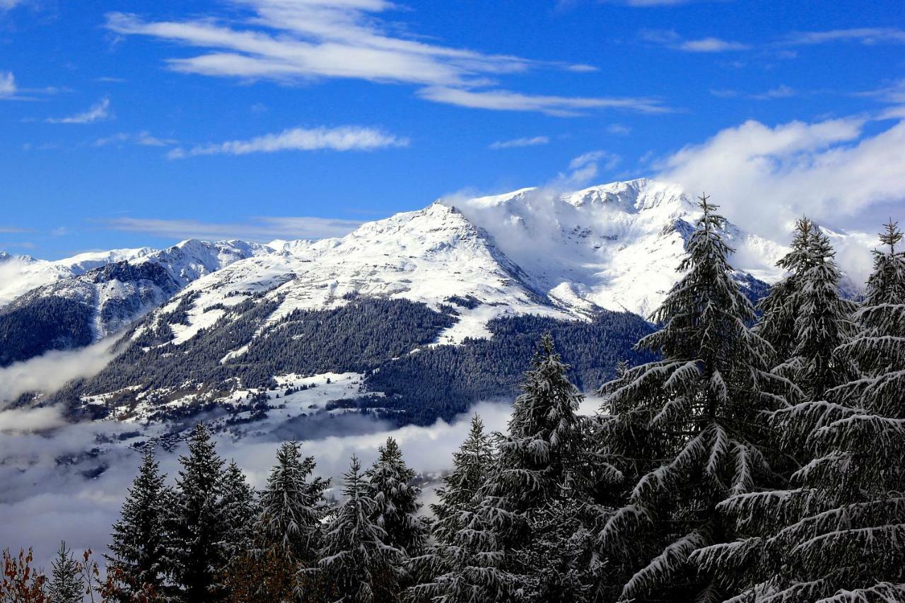 Grand Arbois, Les Arcs 1800 Appartement *